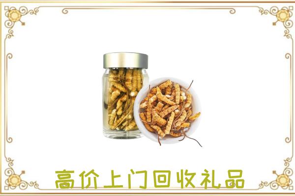 芦淞区周边回收虫草